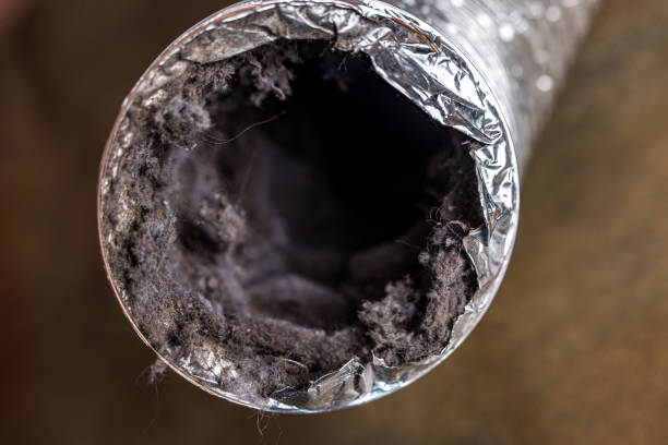 Best Air Duct Cleaning Near Me  in Dove Valley, CO